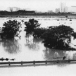 flooded fields